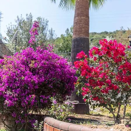 Ipek Garden Palace Hotel