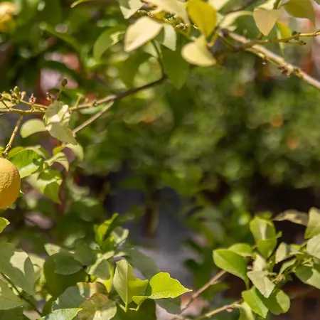 Ipek Garden Palace Hotel 3*