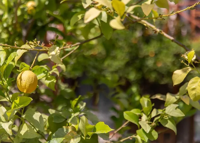 Ipek Garden Palace Hotel 3*