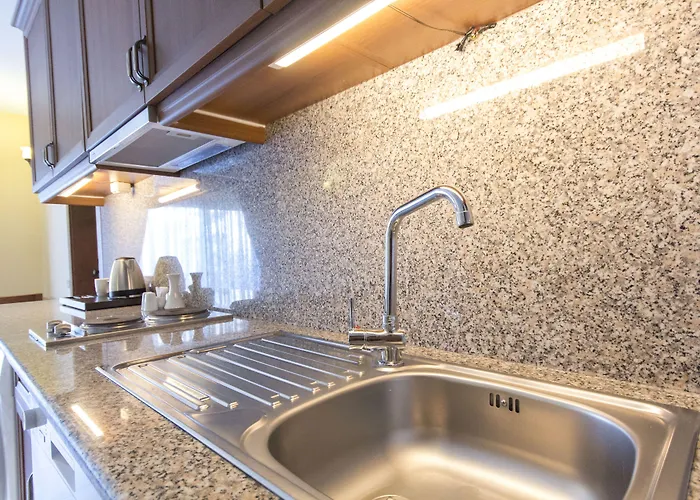 酒店 依佩克花园宫酒店 雅丽丝弗里克