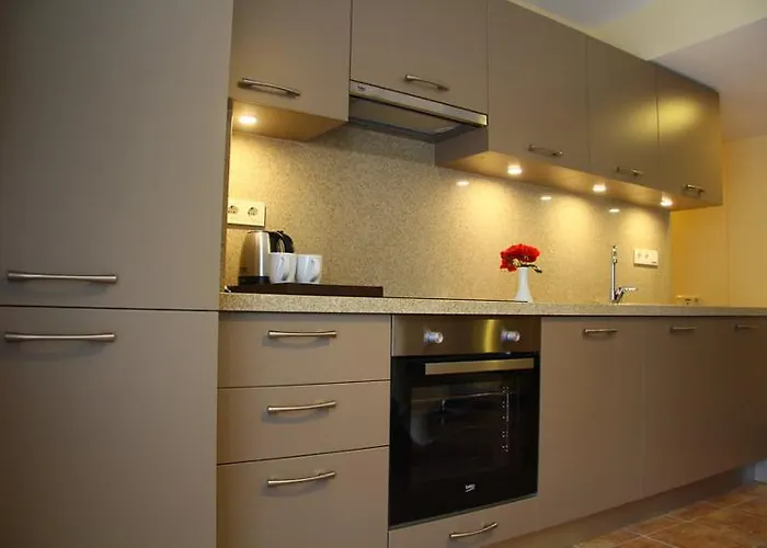 依佩克花园宫酒店 酒店 雅丽丝弗里克